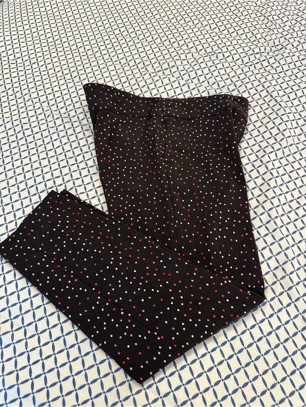 Petite Medium Bella Rose Black Pants with Red & White Polka Dots